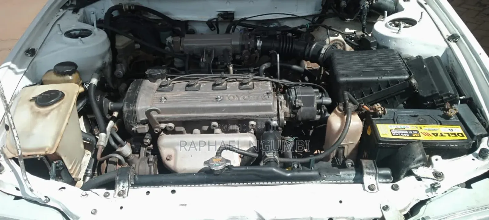 Toyota Corolla 1997 White