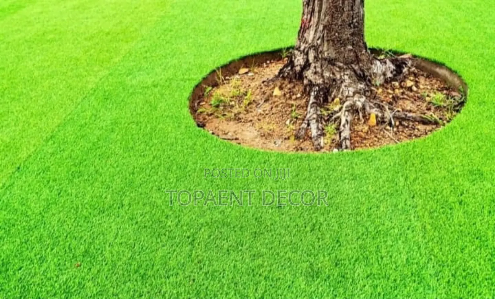 Kids Playground , Tenacious Green Artificial Grass Carpet