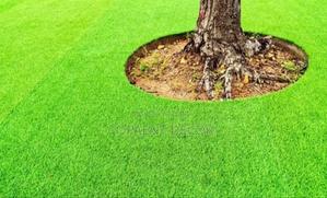 Kids Playground , Tenacious Green Artificial Grass Carpet - thumbnail 2