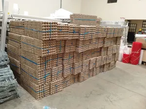 Plastic/Paper Egg Trays