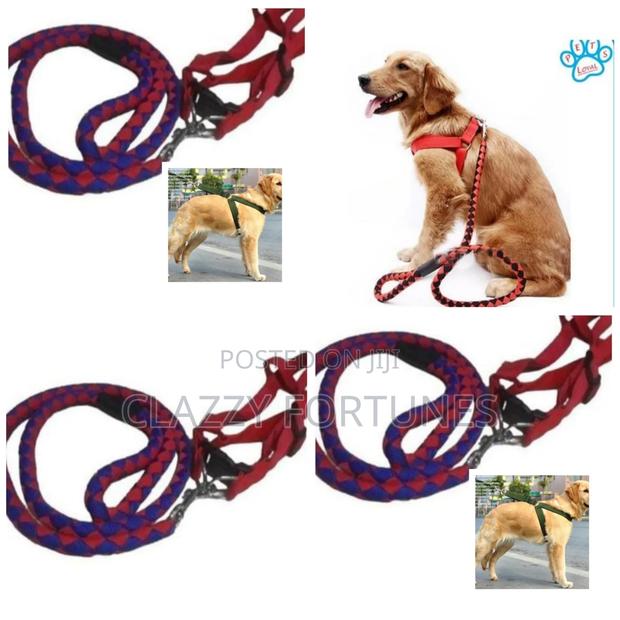 Dog Leash / Harness With Collar
Complete Set
