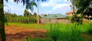 Kikuyu Thamanda Prime Plot