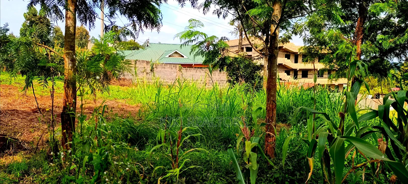 Kikuyu Thamanda Prime Plot