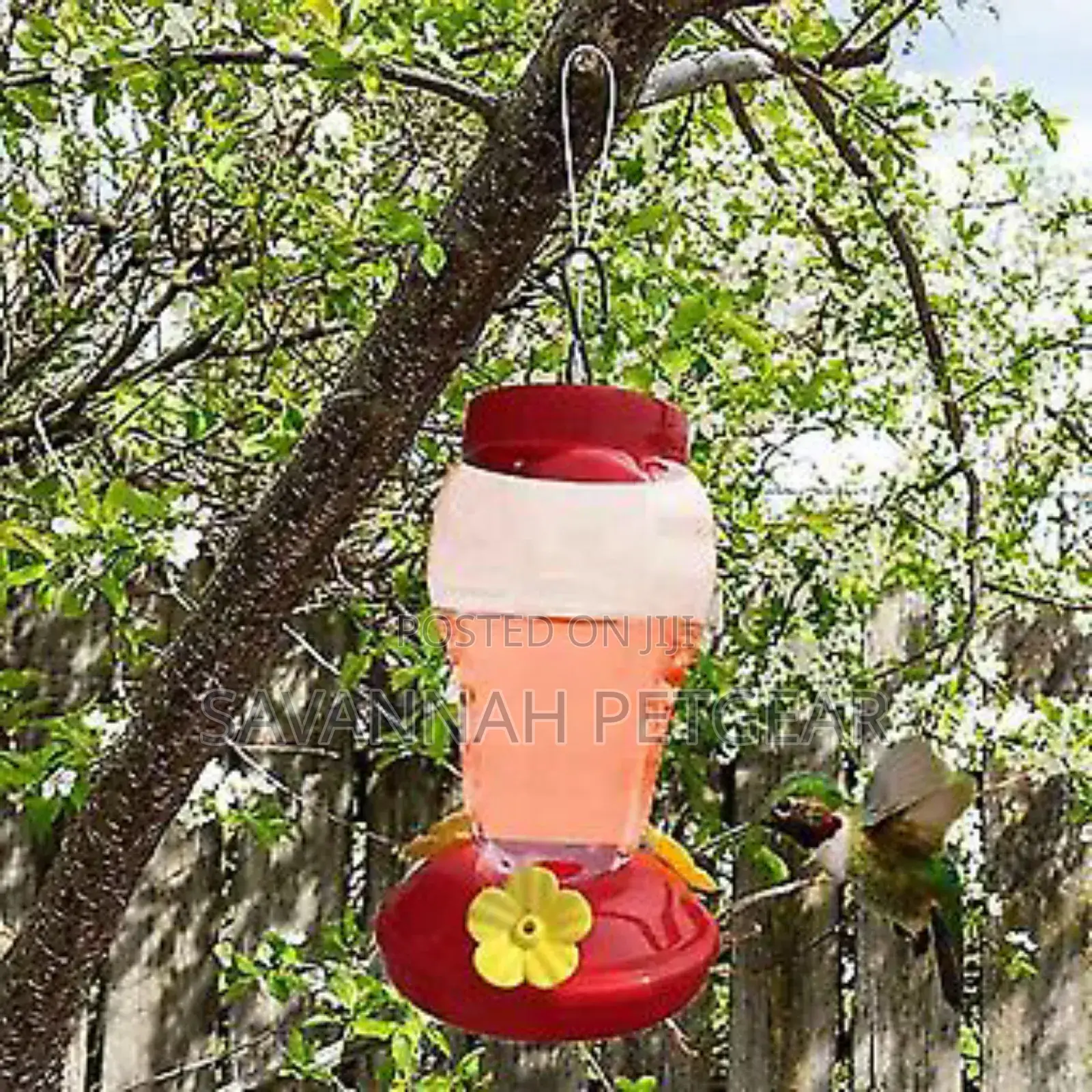 Plastic Humming Bird Feeder Glass 3 Feeding Nectar (Red)