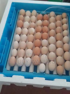 64 Eggs Incubator/ Egg Incubator - thumbnail 2