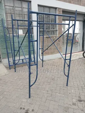 New Arrival Scaffolding/Construction Scaffold
