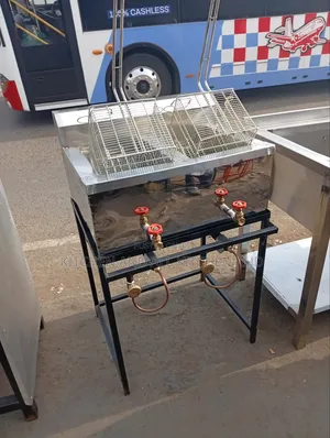 Perfect Gas Chips Fryer