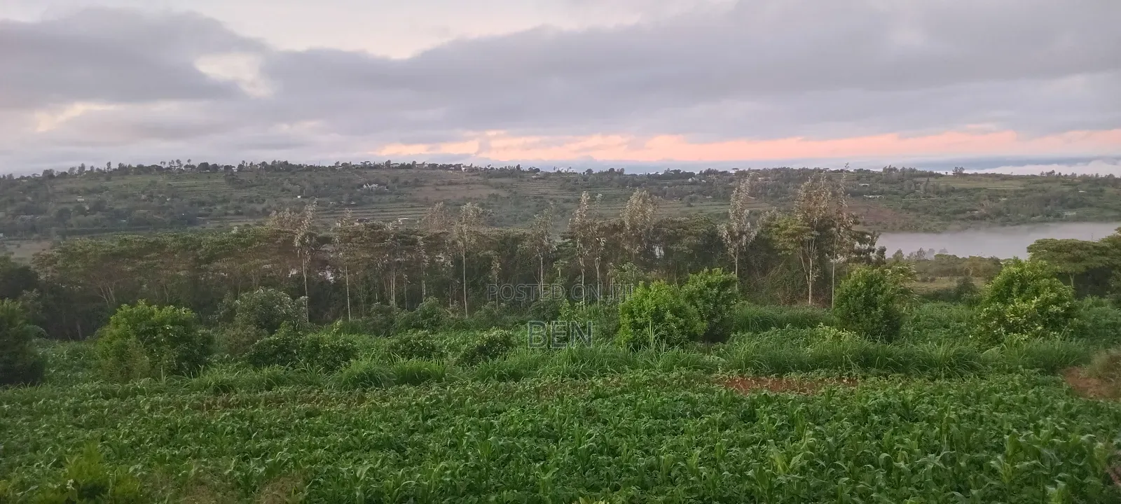 1 Acre for Sale Mua Hills