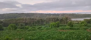 1 Acre for Sale Mua Hills