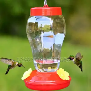 Classic Hummingbird Feeder Dispenser Hanging Bird Perch