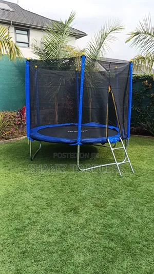 8ft Trampoline With Ladder