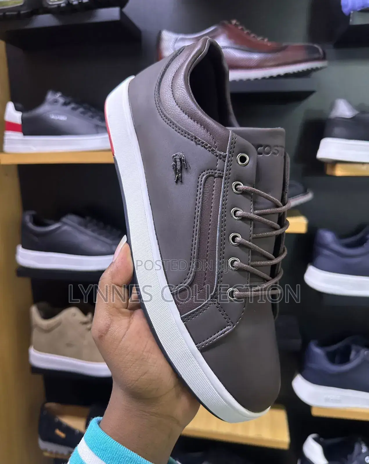 Gray Leather Casual Shoes Men Lacoste Sizes40-45( Boxed)