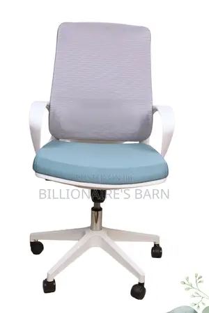 Office Chair; Mesh Seat With Adjustable Armrest