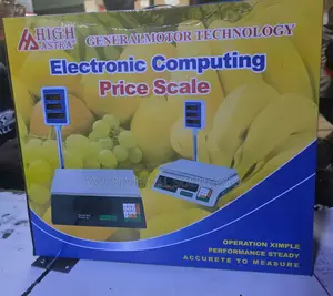 Electronic Computing Scale