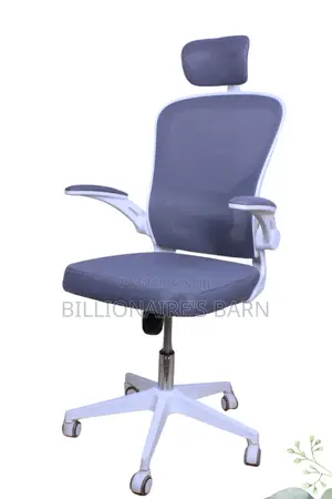 Office; Executive High Back Orthopedic Office Seat