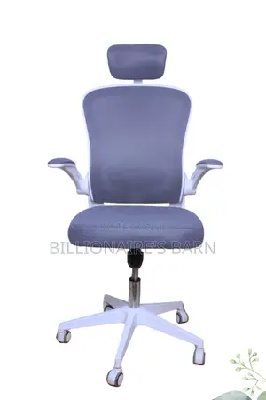 Office; Executive High Back Orthopedic Office Seat