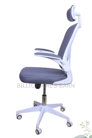 Office; Executive High Back Orthopedic Office Seat