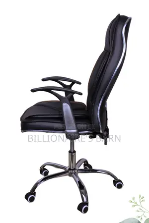 Office, Deluxe Executive Leather Chair Leather With Armrest
