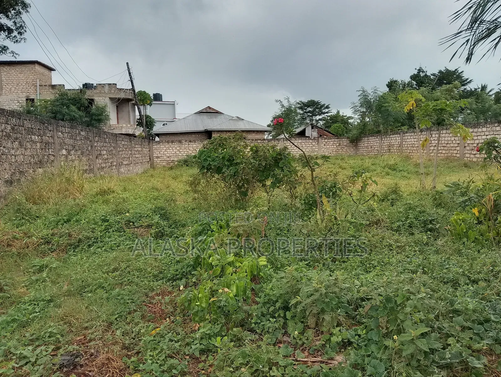 50by100 Prime Plot 4 Sale in Utange