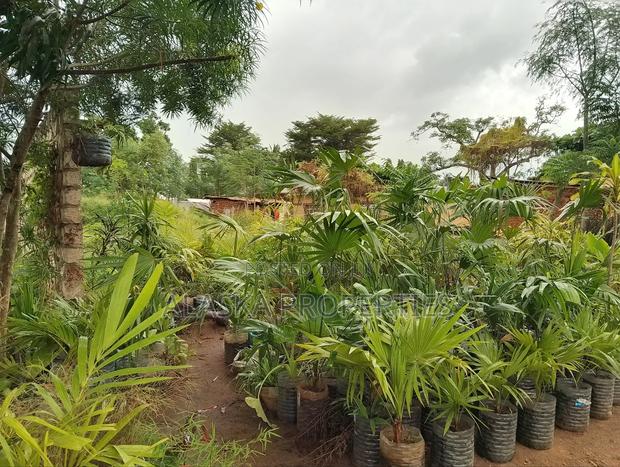 1/4 Acre Prime Plot 4 Sale in Utange - thumbnail 3