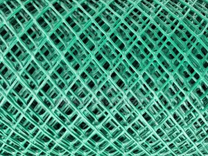 Plastic Chicken Mesh