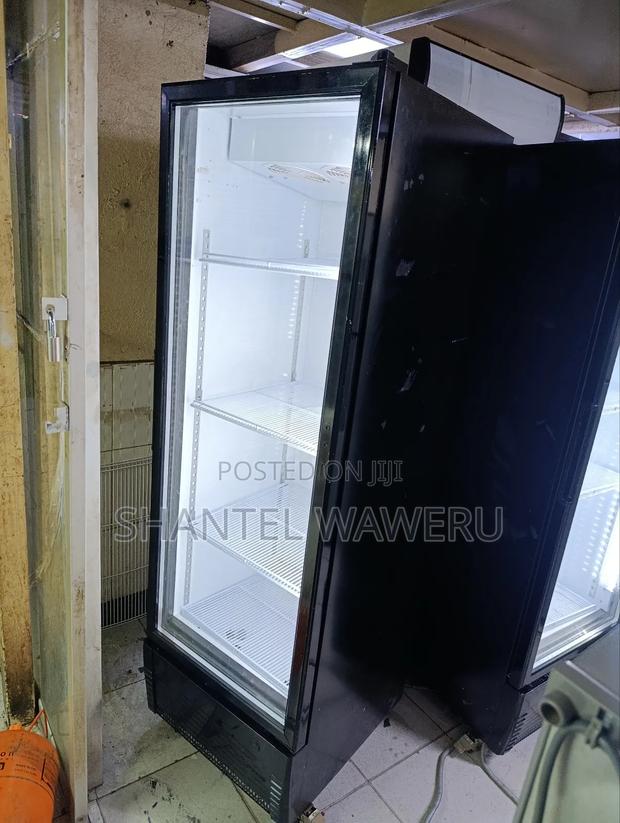 Display Fridge 402litres