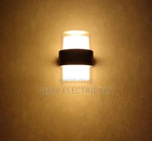 Led Wall Light Indoor/Outdoor