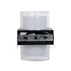 Led Wall Light Indoor/Outdoor