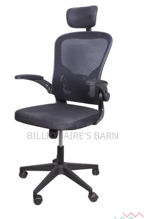 Office Chair, Luther Ergonomic Adjustable Office Chair