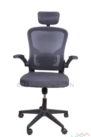 Office Chair, Luther Ergonomic Adjustable Office Chair