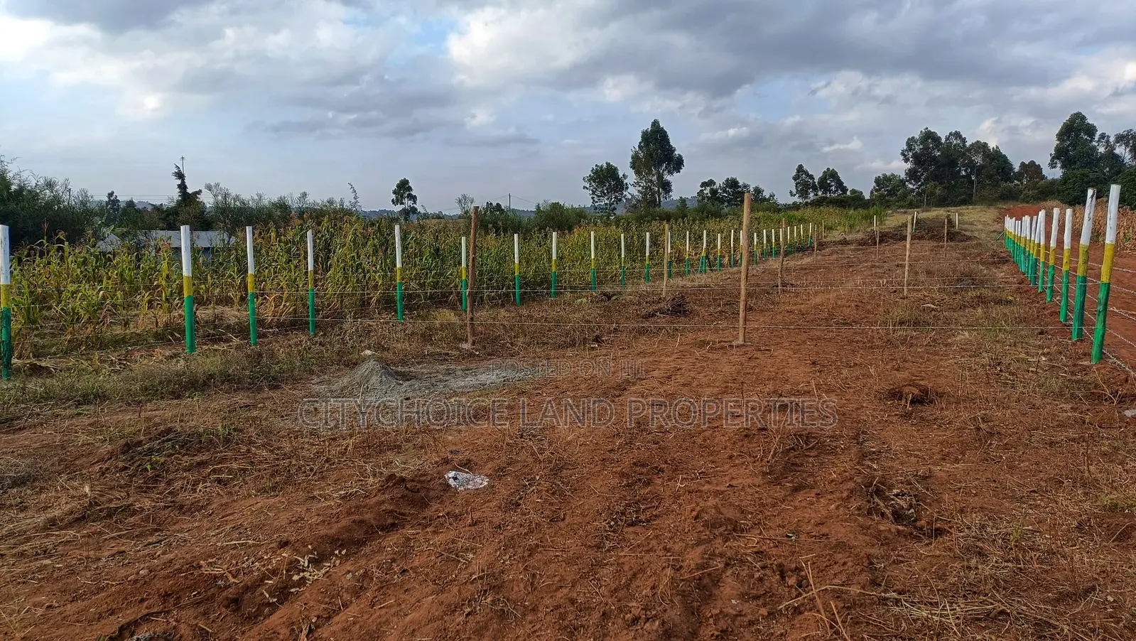 Nachu Prime Plot – Own With Just Down Payment