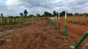 Nachu Prime Plot – Own With Just Down Payment