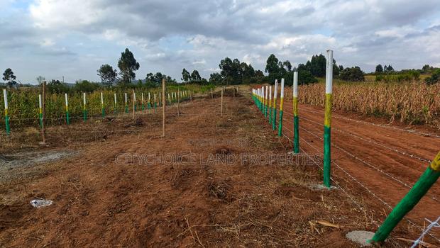 Nachu Prime Plot – Own With Just Down Payment - thumbnail 3