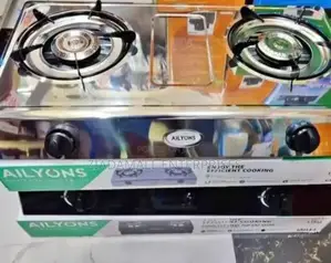 Sleek Durable: Ailyons 2-Burner Stainless Steel Gas Stove