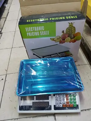 Well Performing 30kg Pricing Scale
