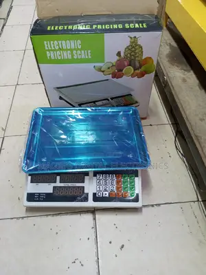 Highly Available 30kg Pricing Scale