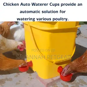 Automatic Chicken, Quail Waterer Cups, Waterer Feeder - 6pcs