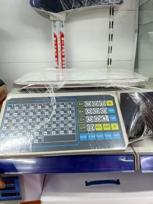 Most Appropriate 30kg Electronic Scale /Reciept