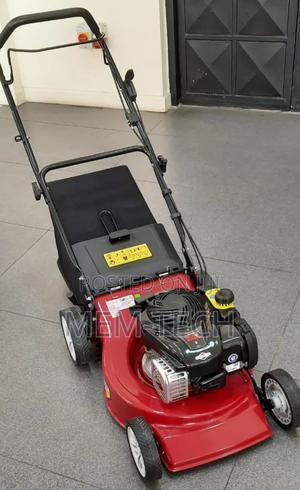 Gasoline Lawn Mower/Brigg and Stratton - main view