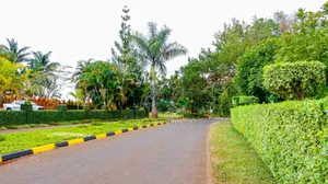 Luxurious 1⁄4 Acre Plots in Thika Greens Golf Estate