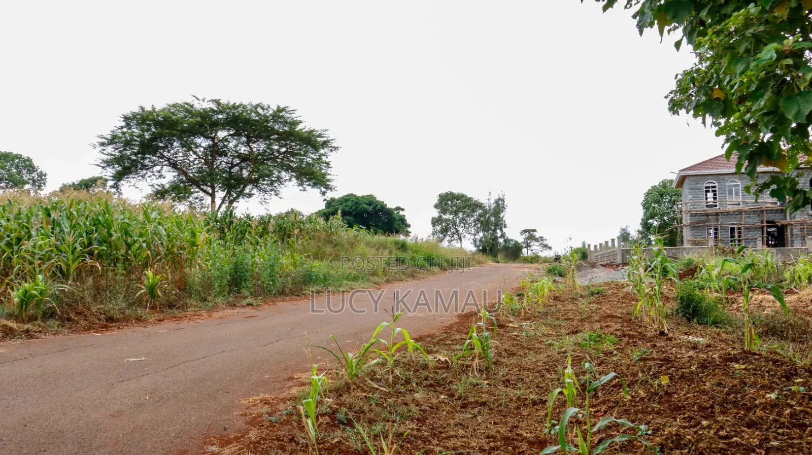 Luxurious 1⁄4 Acre Plots in Thika Greens Golf Estate