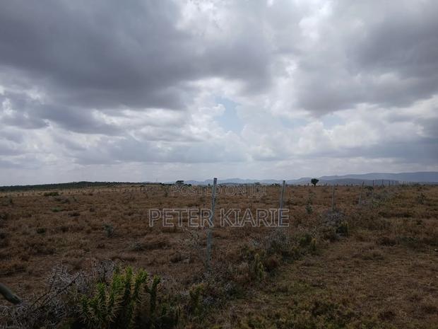 Nanyuki Phase 5 - main view