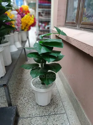 Artificial Plant With Pot- Ready to Decorate
