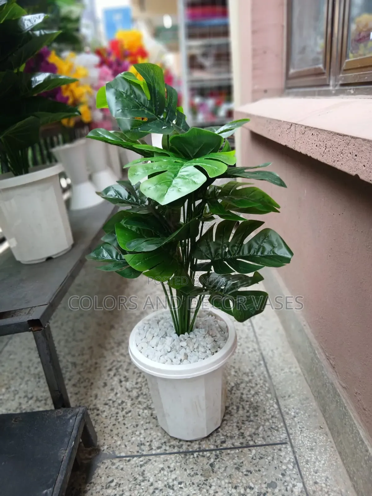 Potted Indoor Decorative Plant With Stones