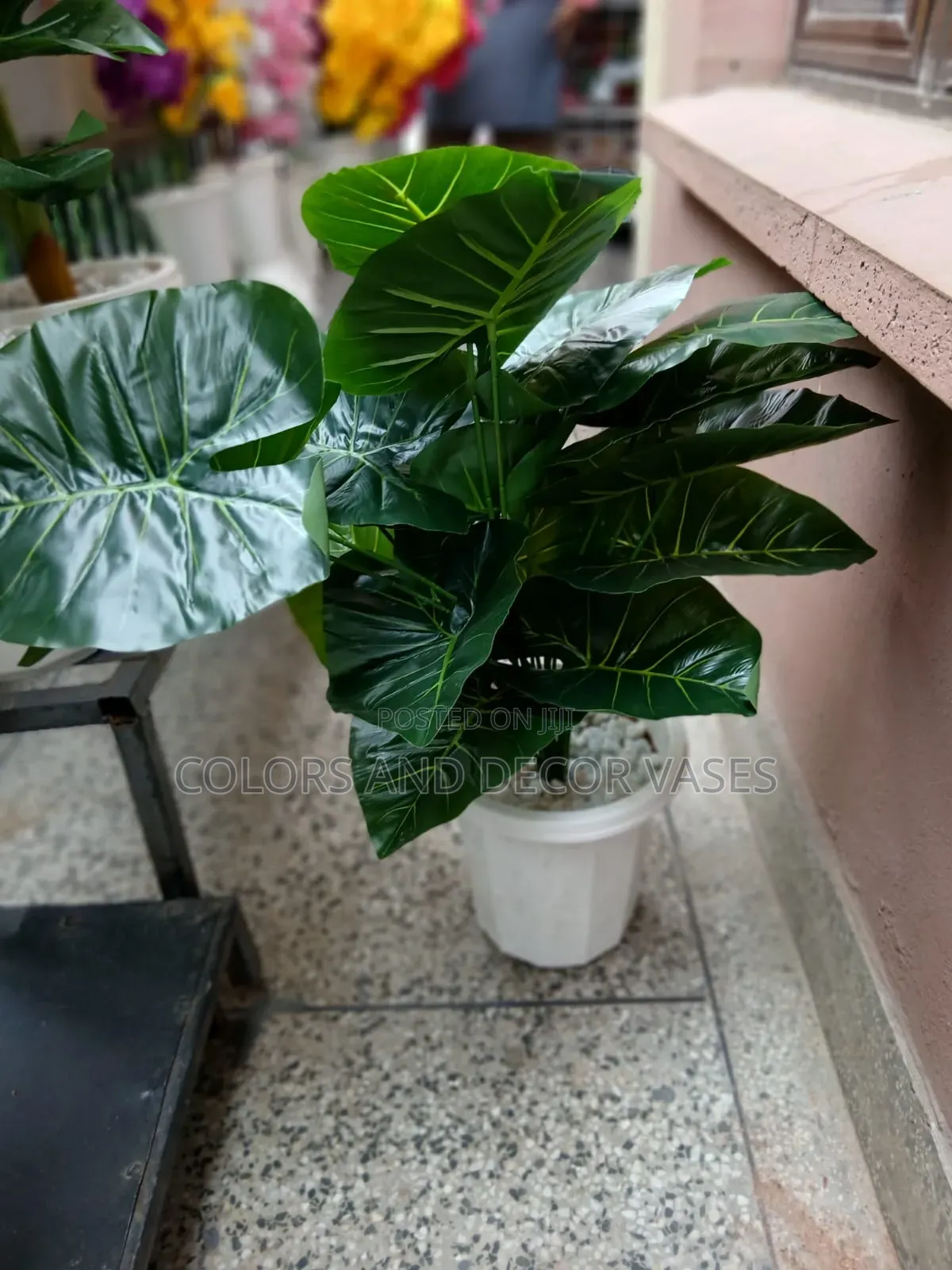 Green Plain Plant + Vase, Pebble Stones Inside