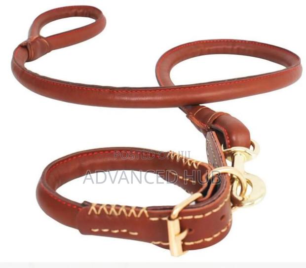Complete Easy Grip Leather Dog Colar and Leash - main view