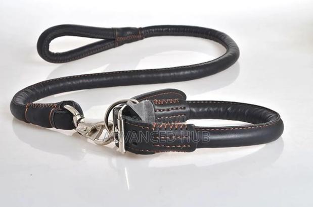 Complete Easy Grip Leather Dog Colar and Leash - thumbnail 3