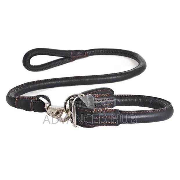Complete Easy Grip Leather Dog Colar and Leash - thumbnail 4