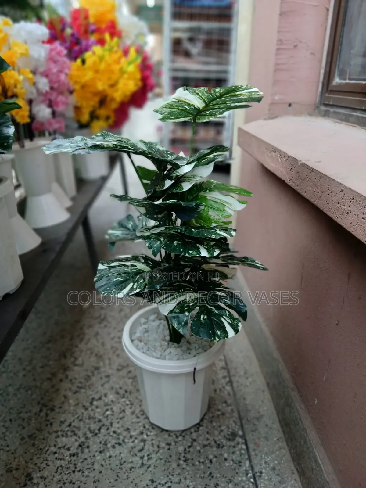 White Monstera in Hard Plastic Vase Plus Stones