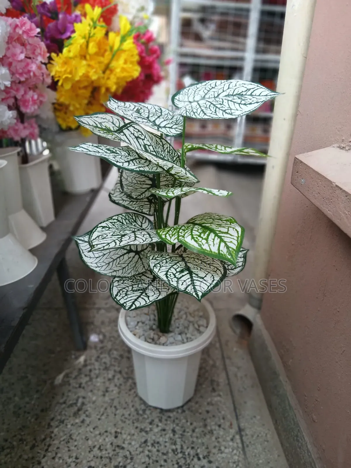 White Plant With Decorative Base With Pebble Stones